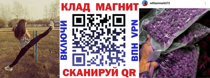 Купить наркотик аптеки Сегежа Галлюциногенные грибы СК Мефедрон Марихуана