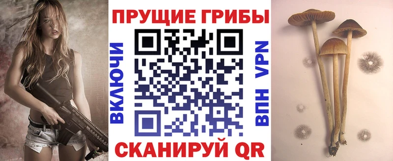 МЕГА ONION  купить закладку  Сегежа  Галлюциногенные грибы прущие грибы 